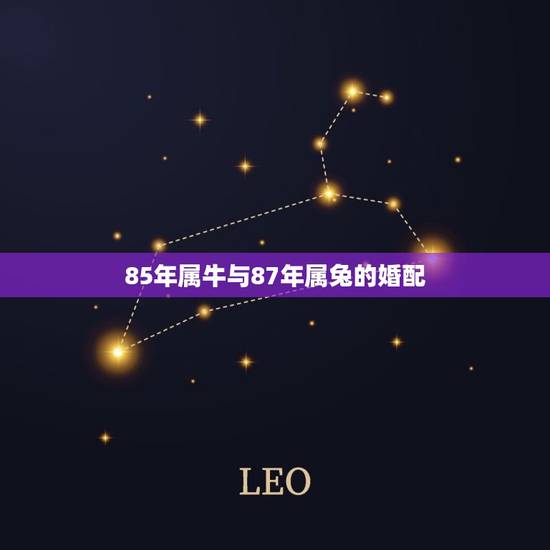 85年属牛与87年属兔的婚配，1985年属牛的女和1987年属兔的男怎