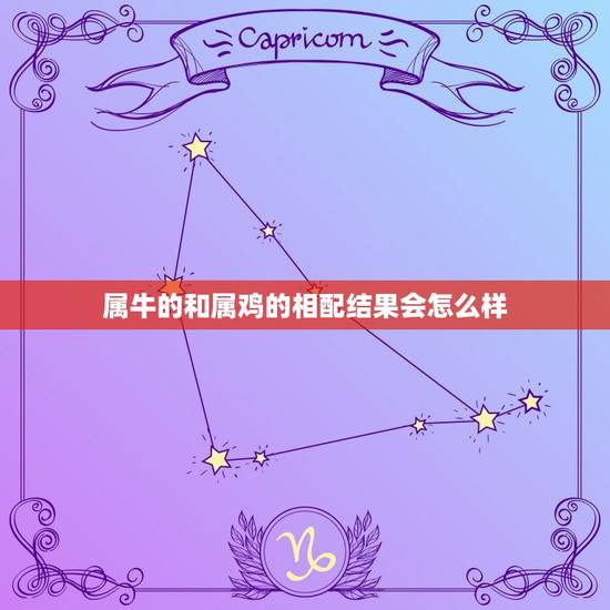 属牛的和属鸡的相配结果会怎么样,属鸡和属牛配吗 属牛的和属鸡的相配结果会怎么样,属鸡和属牛配吗