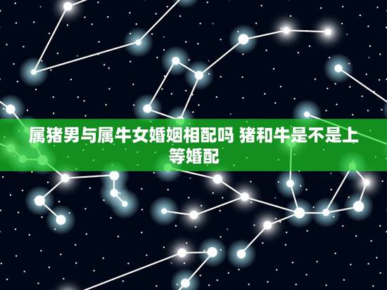 属猪男与属牛女婚姻相配吗 猪和牛是不是上等婚配