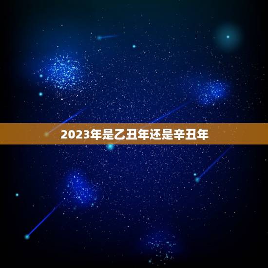 2023年是乙丑年还是辛丑年