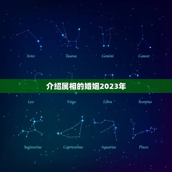 介绍属相的婚姻2023年，2023年有姻缘出现生肖
