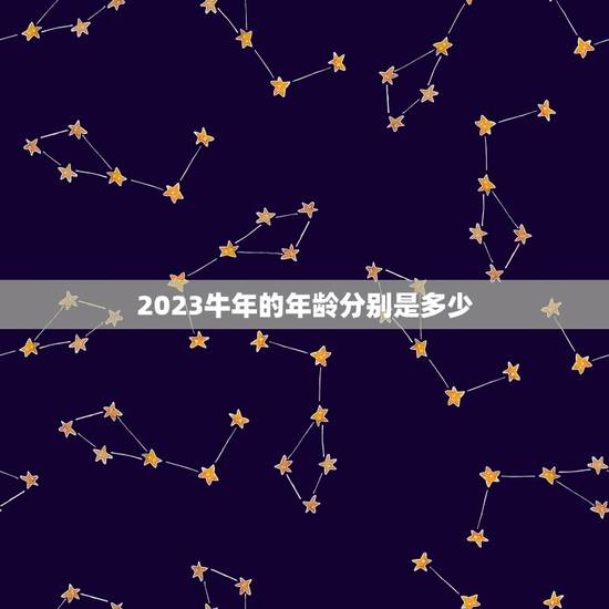 2023牛年的年龄分别是多少，1994年的人2023年年龄多大？
