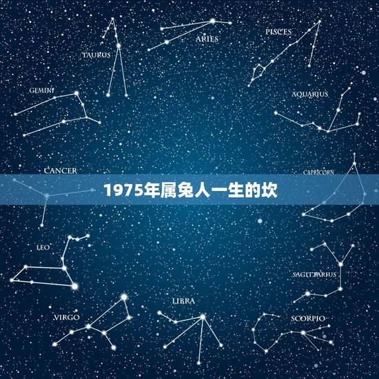 1975年属兔人一生的坎