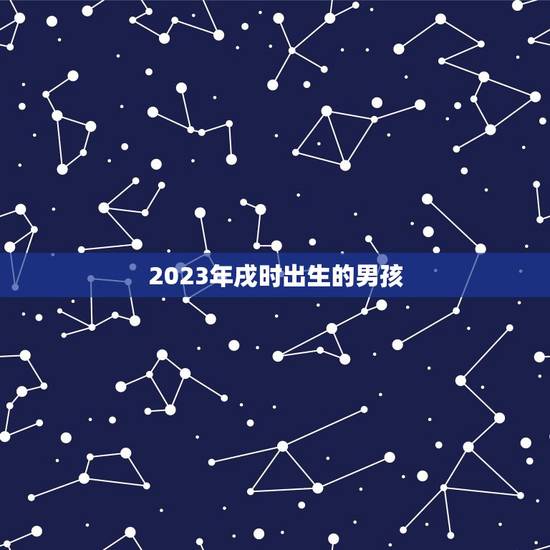 2023年戌时出生的男孩