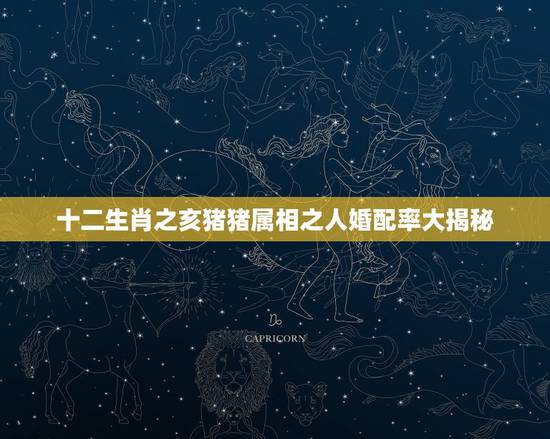 十二生肖之亥猪猪属相之人婚配率大揭秘,属猪和什么属相最配?和什么属相不 十二生肖之亥猪猪属相之人婚配率大揭秘,属猪和什么属相最配?和什么属相不