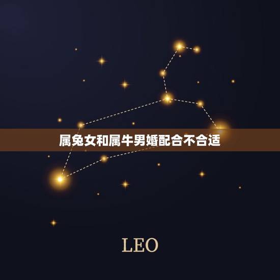 属兔女和属牛男婚配合不合适，属牛男和属兔女相配吗