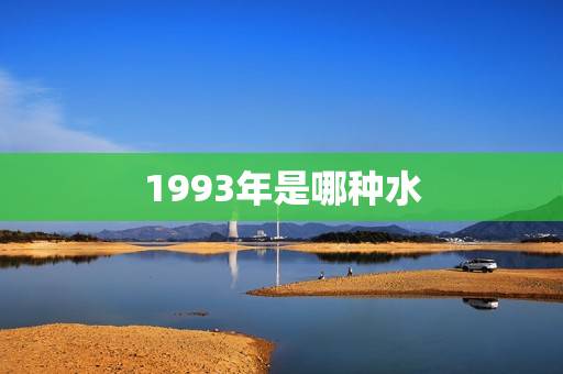 1993年是哪种水