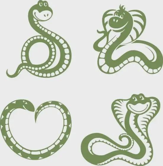 生肖蛇2025感情运分析