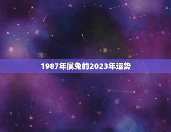 1987年属兔的2023年运势(兔子们迎来事业上的大突破)