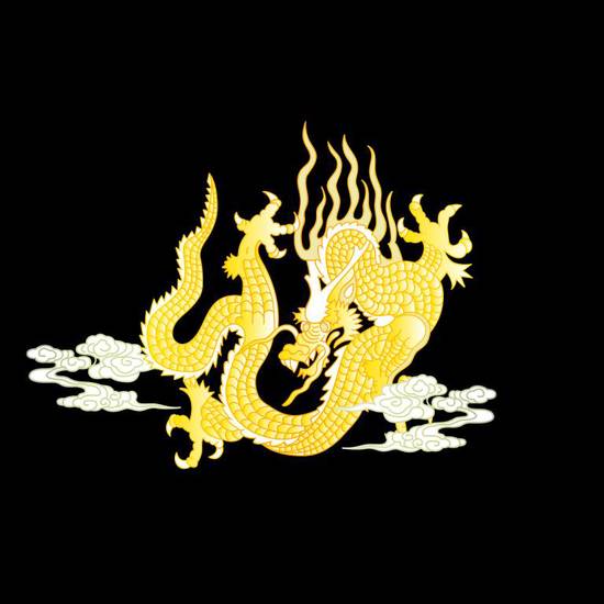 属龙男性2024:职场荣耀与家庭挑战,健康财务双向抉择