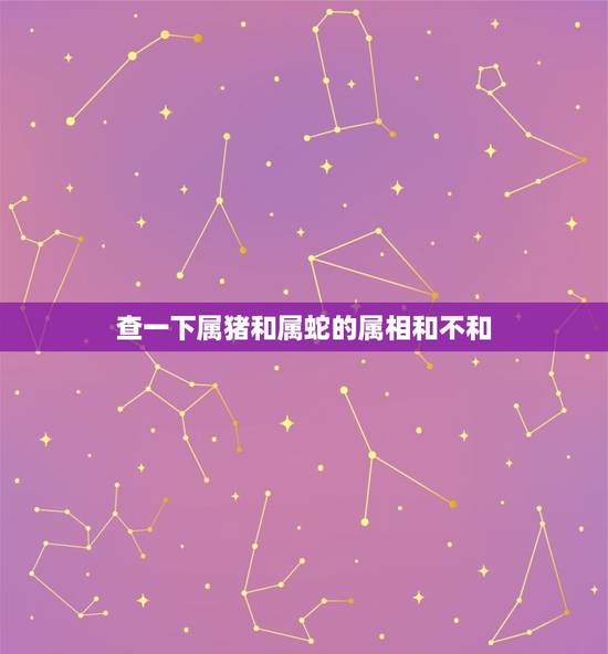 查一下属猪和属蛇的属相和不和，属猪和属蛇的合适吗？