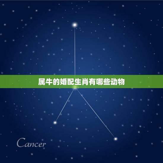 属牛的婚配生肖有哪些动物,属牛和什么属相相配 属牛的婚配生肖有哪些动物,属牛和什么属相相配