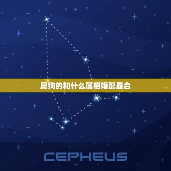 属狗的和什么属相婚配最合，属狗的和哪些属相最相配？