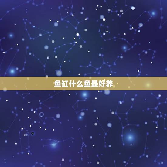 鱼缸什么鱼最好养,家里的鱼缸,适合养什么鱼最好养,最好全是谈水(自来水 鱼缸什么鱼最好养,家里的鱼缸,适合养什么鱼最好养,最好全是谈水(自来水