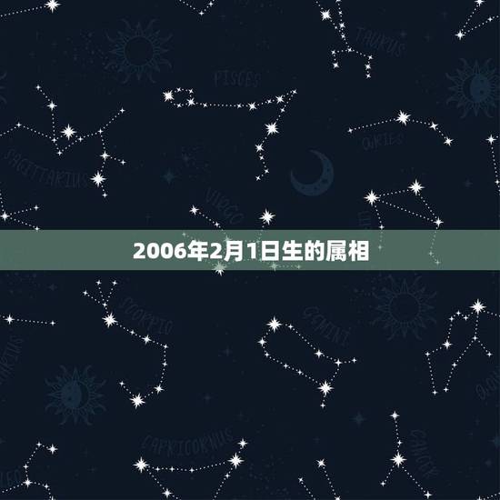 2006年2月1日生的属相，阳历2002年2月1日出生的孩子属相是什么