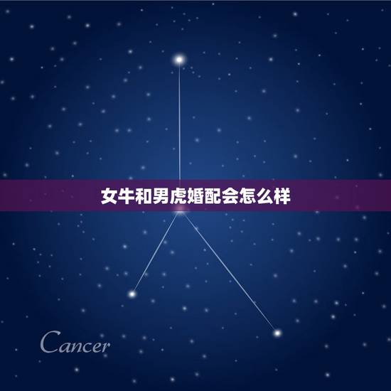 女牛和男虎婚配会怎么样,女属牛和男属虎的婚姻是怎样的? 女牛和男虎婚配会怎么样,女属牛和男属虎的婚姻是怎样的?