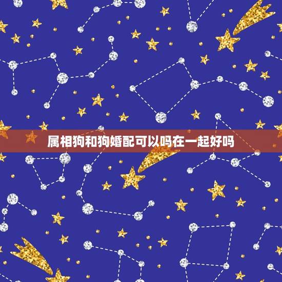 属相狗和狗婚配可以吗在一起好吗,属狗与狗的属相婚配表和好吗? 属相狗和狗婚配可以吗在一起好吗,属狗与狗的属相婚配表和好吗?