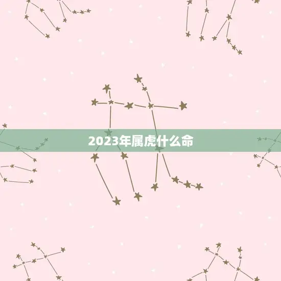 2023年属虎什么命