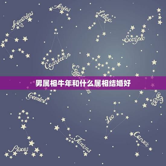 男属相牛年和什么属相结婚好，属牛男的和什么属相最配