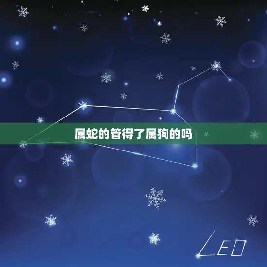 属蛇的管得了属狗的吗