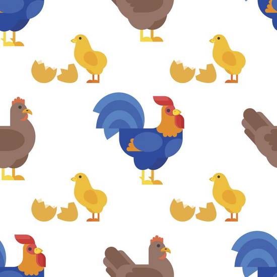 属鸡和什么属猪的好不好(如何选择最佳的生肖配对)