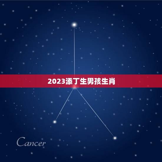 2023添丁生男孩生肖，属蛇人2023年添丁