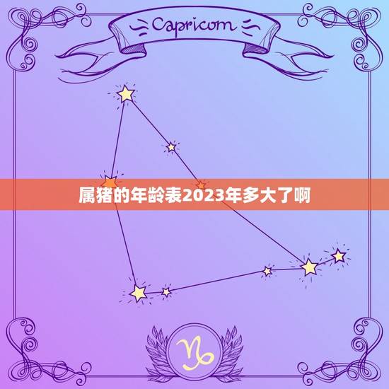 属猪的年龄表2023年多大了啊(猪年生肖年龄计算器)