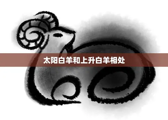 太阳白羊和上升白羊相处(如何避免火花四溅) 太阳白羊和上升白羊相处(如何避免火花四溅)