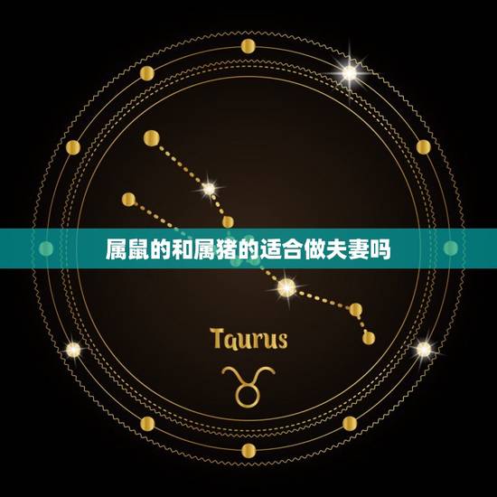 属鼠的和属猪的适合做夫妻吗，属鼠的和属猪的，姻缘如何？