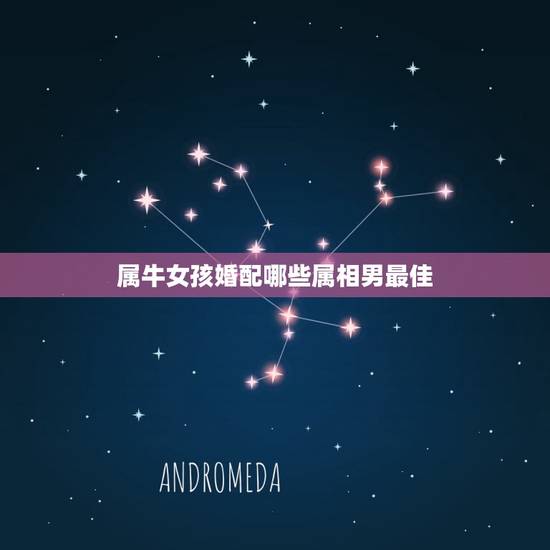 属牛女孩婚配哪些属相男最佳，属牛的和什么属相最相配 12属相婚配表