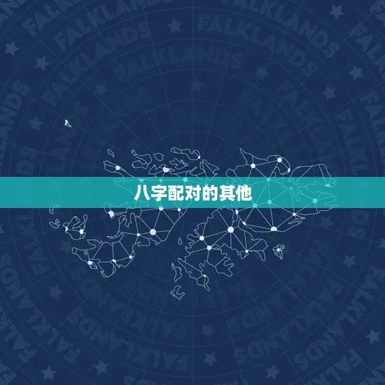 八字配对的其他 八字配对的其他