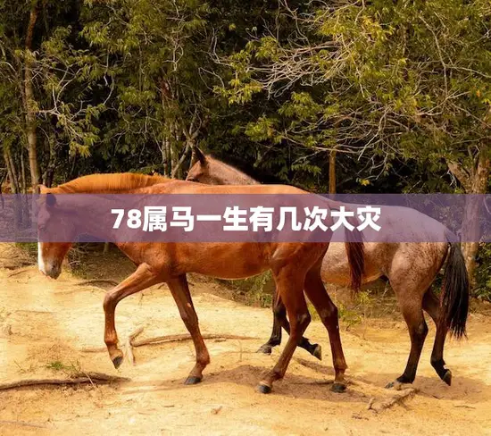 78属马一生有几次大灾(命运多舛三次大灾难逃不过)