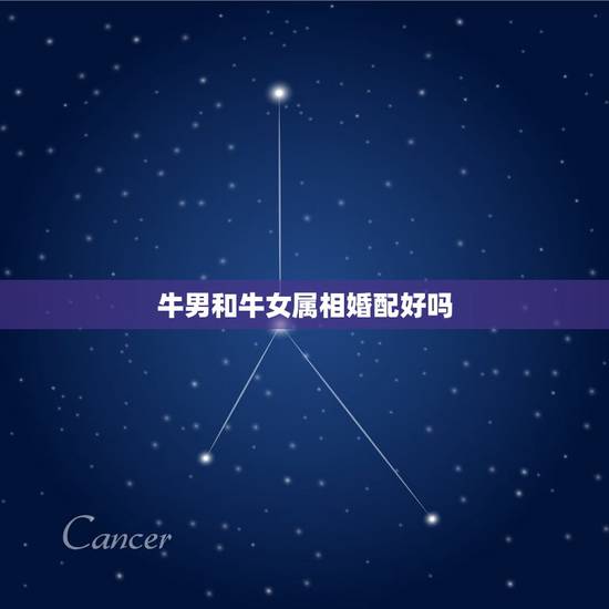 牛男和牛女属相婚配好吗，男牛女牛相配吗