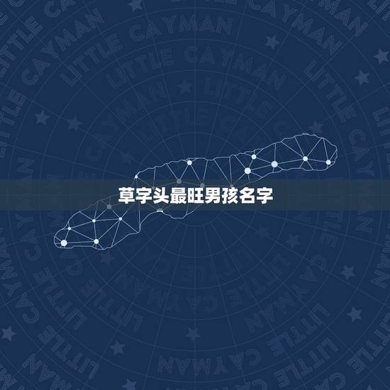 草字头最旺男孩名字，草字头的字男孩起名字属牛