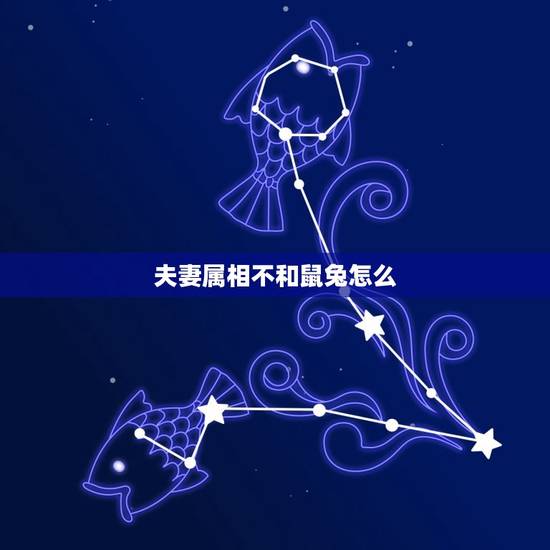 夫妻属相不和鼠兔怎么,属龙和属兔的婚姻怎么化解 夫妻属相不和鼠兔怎么,属龙和属兔的婚姻怎么化解