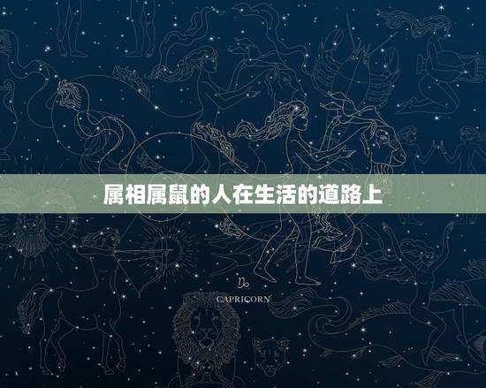 属相属鼠的人在生活的道路上，1972年属鼠的人是什么命