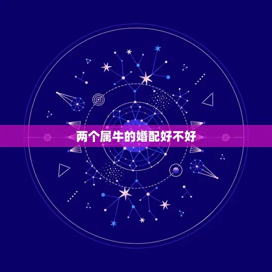 两个属牛的婚配好不好