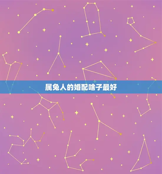 属兔人的婚配啥子最好