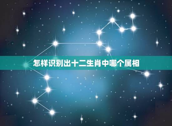 怎样识别出十二生肖中哪个属相,十二生肖分别是什么 怎样识别出十二生肖中哪个属相,十二生肖分别是什么