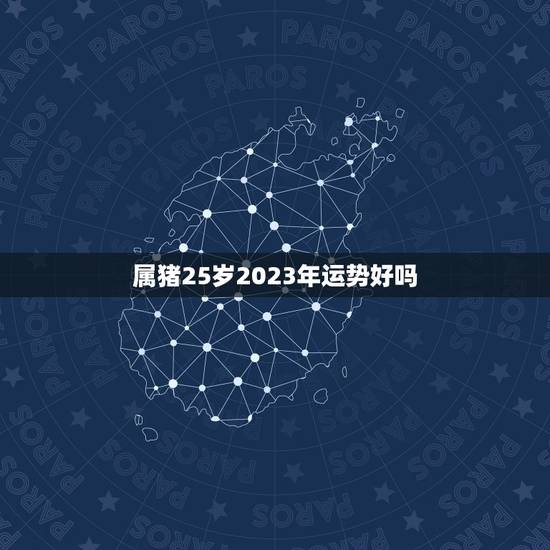 属猪25岁2023年运势好吗，2023壬寅年丁火运势