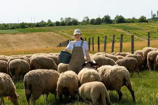 太阳白羊和上升白羊相处(如何避免火花四溅) 太阳白羊和上升白羊相处(如何避免火花四溅)