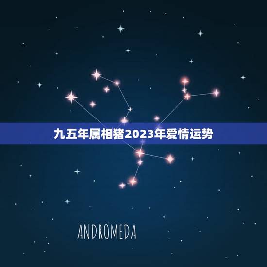 九五年属相猪2023年爱情运势，95年属猪男2023年运势详解