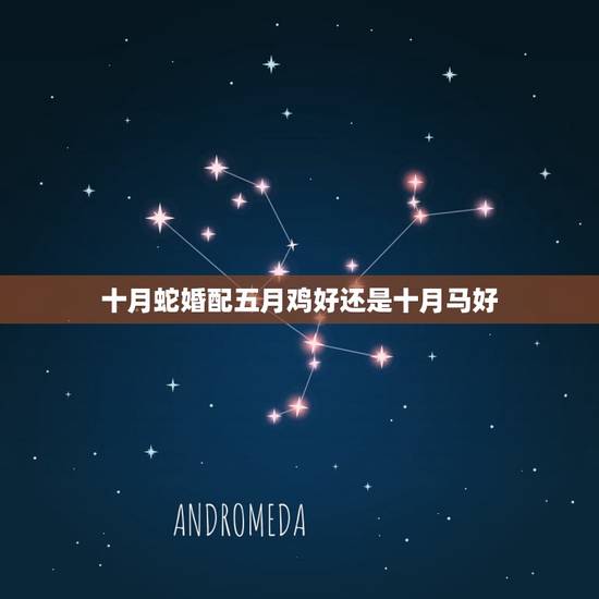 十月蛇婚配五月鸡好还是十月马好，农历5月的狗和10月的蛇男人合婚吗