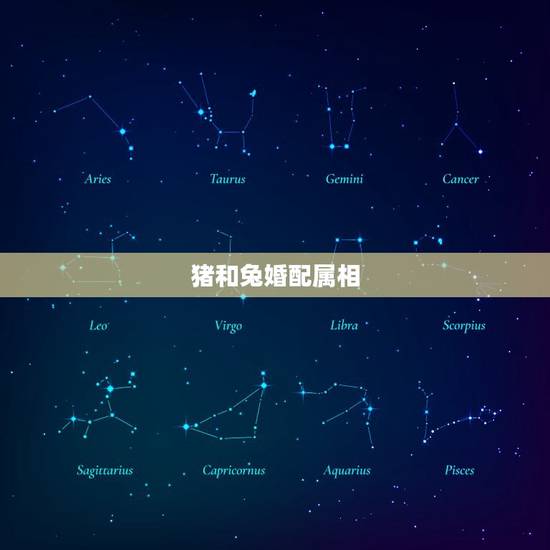 猪和兔婚配属相，兔和猪属相合不合，相配吗？