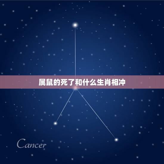 属鼠的死了和什么生肖相冲(介绍属相相冲的情况)