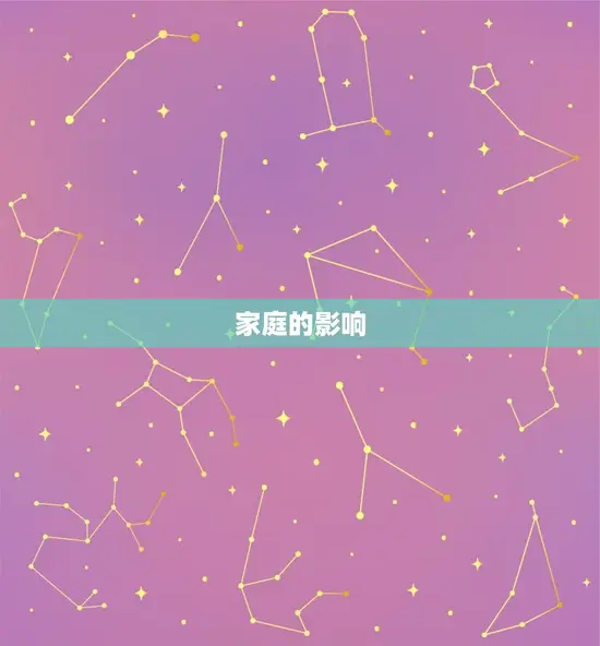家庭的影响