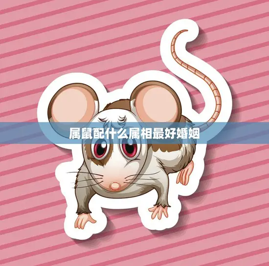 属鼠配什么属相最好婚姻(寻找最佳配对)