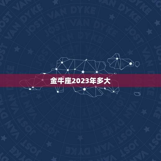 金牛座2023年多大，福特金牛座2023海外版