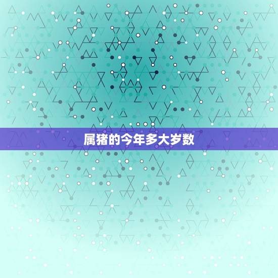 属猪的今年多大岁数