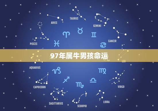 97年属牛男孩命运，97年属牛的什么命